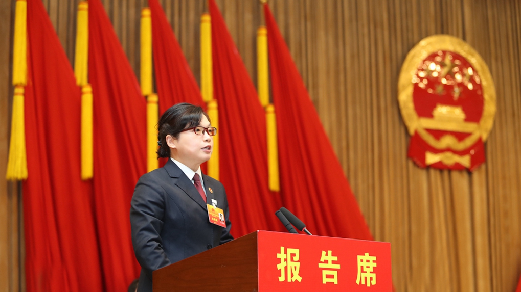 刘国媛检察长在洪山区第十六届人民代表大会第五次会议上作工作报告